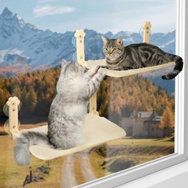 Sangoodier 2 Pack Cat Window Perch, Foldable Cat Window Hammock Cordless with Removable Soft Cover for Indoor Cats, Resting Window Bed for Cat Inside with 8 Suction Cups (Yellow, 2 Pack)