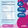 Wellah Splish Splash Hydration Electrolyte Drink Mix (Blueberry Pomegranate Flavored,