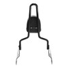 TCT-MOTORPARTS Black Detachable Passenger Backrest Sissy Bar Fits for Harley