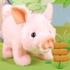 Liberty Imports My Pet Pig, Electronic Plush Piggy Toy Piglet