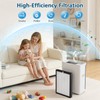 G3 Replacement Filter, Compatible with AMEIFU G3 (Sferf-30) Air Purifier,