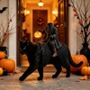 Halloween Headless Horseman Cat Costume for Pet Dress-Up – Adjustable