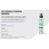 Lendan Oil Essences Ethernal Moringa Aceite 100ml De España
