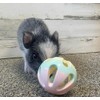 Rattle Balls for Dogs Pigs Rabbits Cats Small Animals Fun