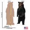 Cardboard People Brown Bear Life Size Cardboard Cutout Standup