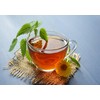 Stinging Nettle Seeds (Urtica Dioica) from Germany - Pure Vegan
