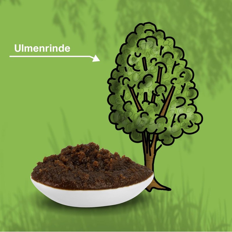 Medipet 500 g Premium Elm Bark Paste for Dogs, Better