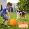 QDAN Large Tennis Ball for Dogs: Pet Toys 9.5" Giant