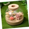 BUGUUYO Glass Terrarium Jar with Moss Terrarium Landscape Container for