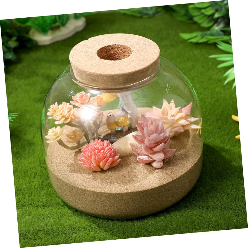 BUGUUYO Glass Terrarium Jar with Moss Terrarium Landscape Container for