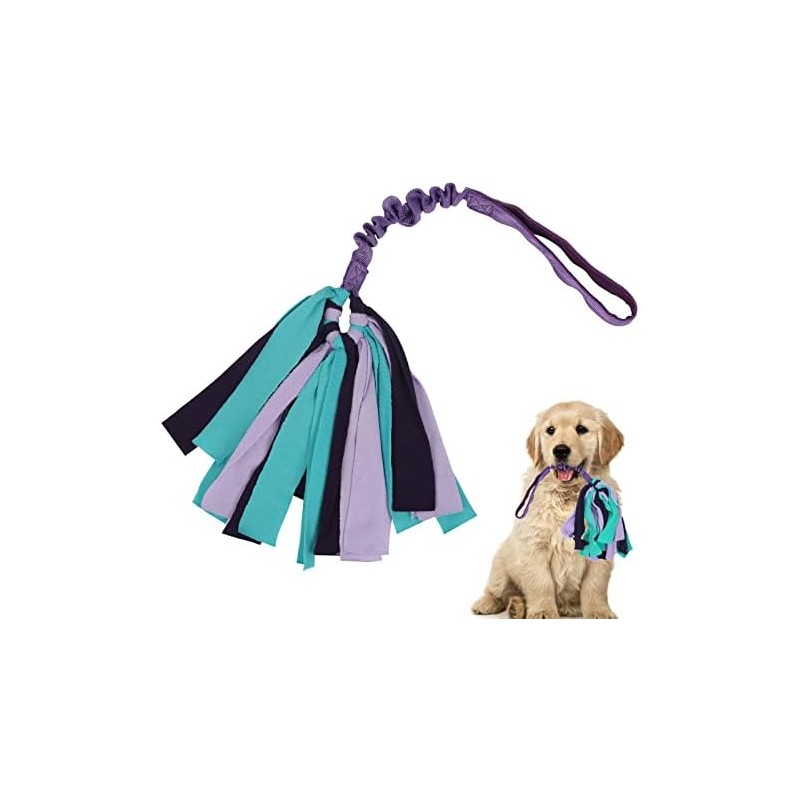 Juguete de tirón para perros (morado)