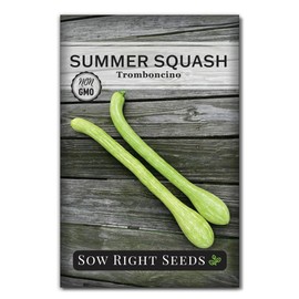 Sow Right Seeds - Tromboncino Rampicante Squash Seeds for Planting - Non-GMO Heirloom Packet with Instructions to Plant a Home Vegetable Garden - Grow Tasty Squash at Home, Great for Cooking