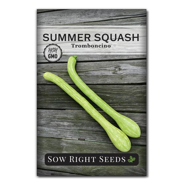Sow Right Seeds - Tromboncino Rampicante Squash Seeds for Planting