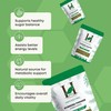 H&C Gymnema/Gurmar Leaves Powder (Gymnema sylvestre) 227g / 0.5 Lb