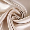 townssilk Both Side 100% 19mm Silk Pillowcase Queen Size Pillow