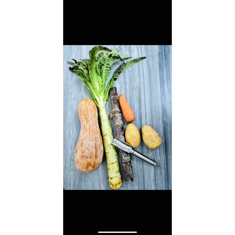 Heavy Duty Vegetable Peeler with Ultra Sharp Thick n Strong
