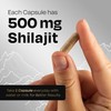 Auric Shilajit/Shilajeet Energy 60 Capsules | Lab Tested Pure Shilajit