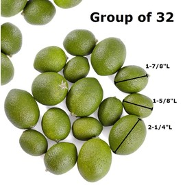 Factory Direct Craft Pack of 32 Artificial Limes - Fake Assorted Sizes Cute Citrus Limes for Fruit Bowl Displays Wreath Decoration and Arrangements