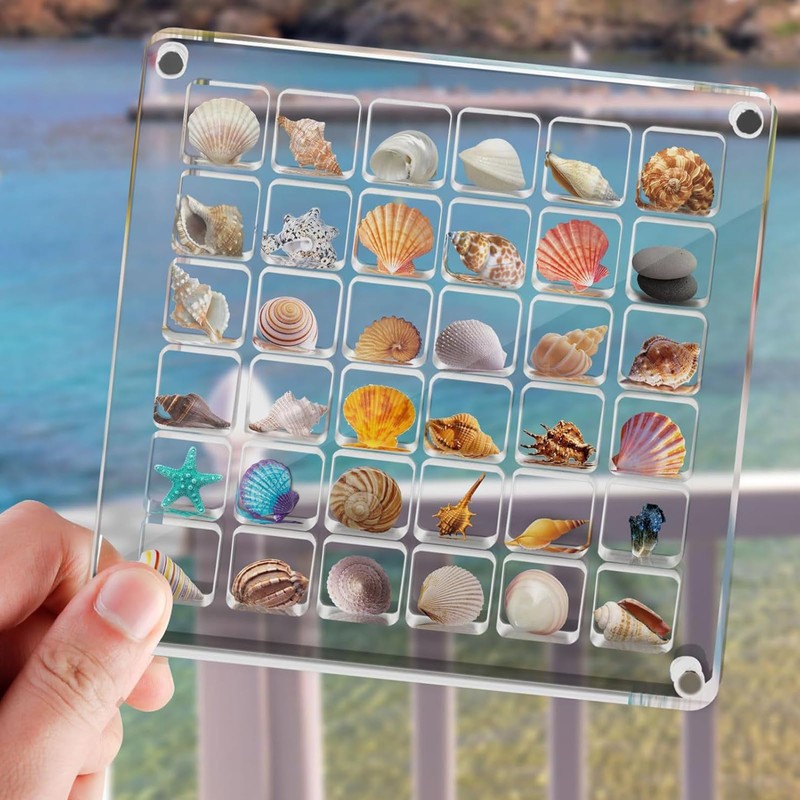 Biglumin Acrylic Box - 36 Compartments Acrylic Box Magnetic Seashell