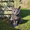 Vivid Arts Sitting Cats (Tabby Cat)