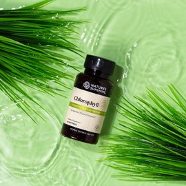 Nature's Sunshine Chlorophyll, 60 Softgel Capsules: Support Digestion, Immunity & Detoxification with Internal Deodorant Benefits. Easy-to-Swallow Capsules Promote Overall Well-Being & Energy