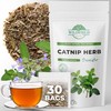 30 Bags Catnip Tea Catnip Herb Tea (Nepeta L.) -