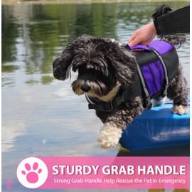 Queenmore Small Dog Life Jacket, Adjustable Pet Life Vest for Small and Medium Dogs with High Buoyancy, Rescue Handle, Reflective Bands for Boating, Canoeing, Swimming