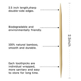 BLUE TOP Bamboo Toothpick 2000pcs Packed by 20 boxes Round Sturdy Double-Side Point BambooToothpick for Teeth Food Pick for Appetizer Fruit Olive Cheeze and DIY Small box Easy to be carried saved