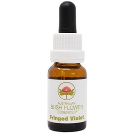 Australian Bush Flower Fringe Violet