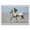 Horse Racing on Snow and in Water (Wall Calendar 2026