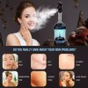 Kingsteam Professional Facial Steamer Ionic Ozone Hot Mist w/ Arm