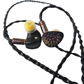 TANGZU YuXuanJi in Ear Monitors Headphones, Wired Earbuds Earphone with 10mm TPLX Topology Dynamic Driver Zinc Construction, 0.78mm Detachable Cable for IEM, Musician Audiophile, Black, 4.4mm