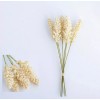 noved 6 Espigas De Grano De Trigo, Artificial, Decoración, Hogar