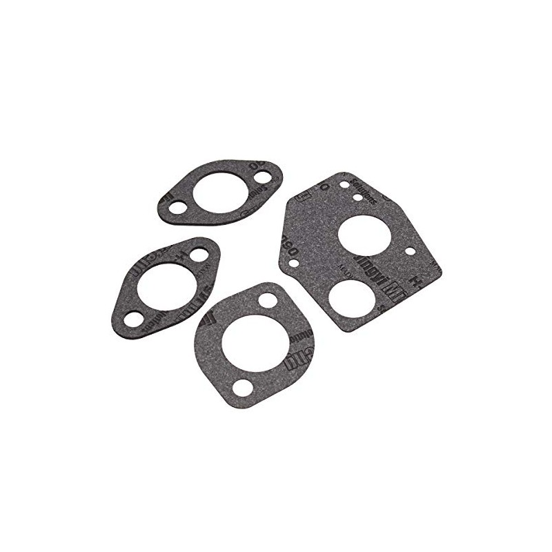 TF 12x Carburettor Repair Gasket for Briggs & Stratton 495606
