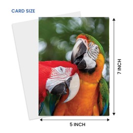 Whimsical Colorful Parrot Greeting Card – Blank Inside for all occasions – Unique Photography Card for Macaw, Animal, Nature & Bird Lovers for birthdays, anniversaries, love, thinking of you - larger size 5x7 Inch