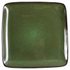 Home Trends Rave Green Square Dinner Plate