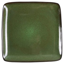 Home Trends Rave Green Square Dinner Plate