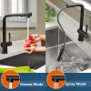 TORVA Black Stainless Steel Kitchen Faucet w/ Pull Down tap