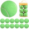 12 Packs Pressure Matching and Training Tennis Balls