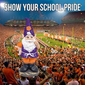 Clemson Resin GNOME