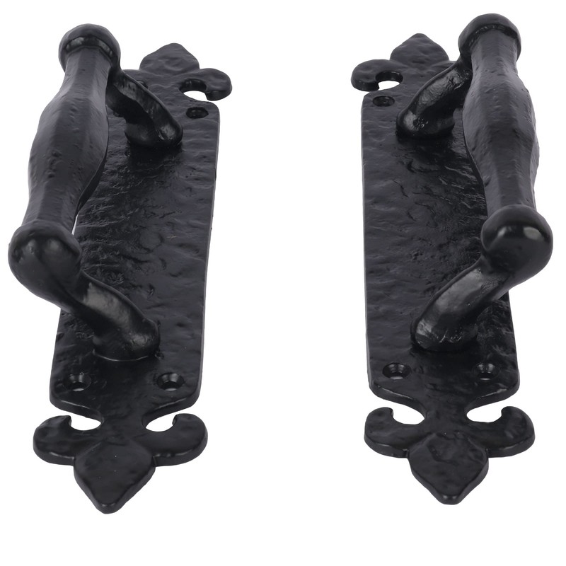 SKANDH 10" Inch Fleur Iron Pull Handle with Backplate, Heavy