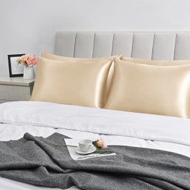 Imperial Rooms Satin Pillowcase 2 Pack – Satin Silk Pillowcases for Hair and Skin, Gifts for Women – Champagne Pillow cases with Envelope Closure (50x75 cm)
