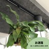 Pispoer Duct Rail Hanging Hooks, Lighting Fixture Wiring, Shop Line,
