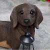 ATCS Realistic Dachshund Dog Puppy Garden Sculpture Holding Solar LED