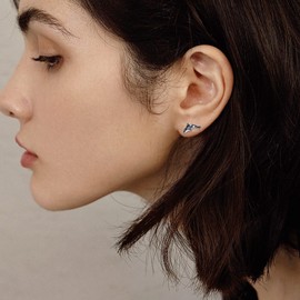 POPLYKE Killer Whale Orca Ocean Stud Earrings for Women 925 Sterling Silver Hypoallergenic Jewellry Birthday Gifts for Sensitive Ears