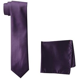 STACY ADAMS mens Classic Style Reg necktie, Plum, Regular US