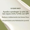 Origins Plantscriptionâ"¢ SPF 25 Power Anti-Aging Cream