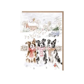 Wrendale Designs - While Shepherds Watched' Border Collie Advent Calendar Card