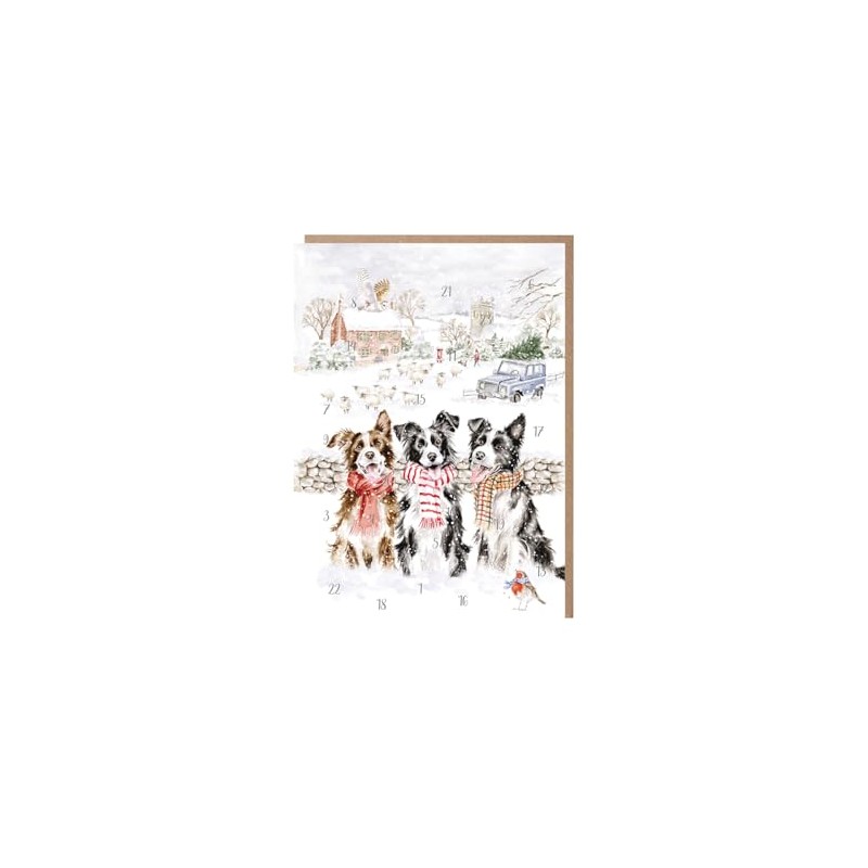 Wrendale Designs - While Shepherds Watched' Border Collie Advent Calendar
