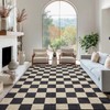 Washable 3x4.8 Checkered Rug, Black and White Area Rug, Boho